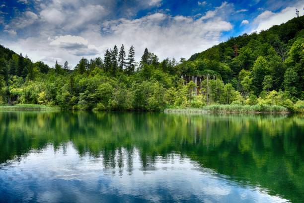 istock lake in middle of forest treea illumination on water 867159388