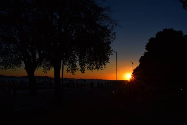 istock beautiful orange sunset over trees in zadar croatia 867159700
