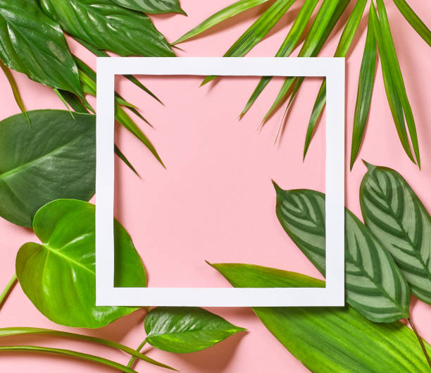 istock Tropical leaves and white frame on pink background 867162436