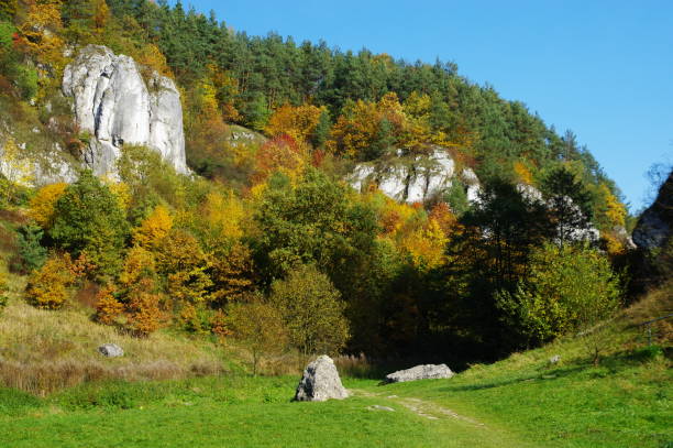 istock Autumn on Krakow-Czestochowa Upland 867165998