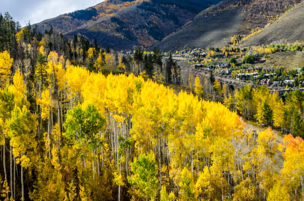 istock Vail, Colorado in the Rocky Mountains 867175308