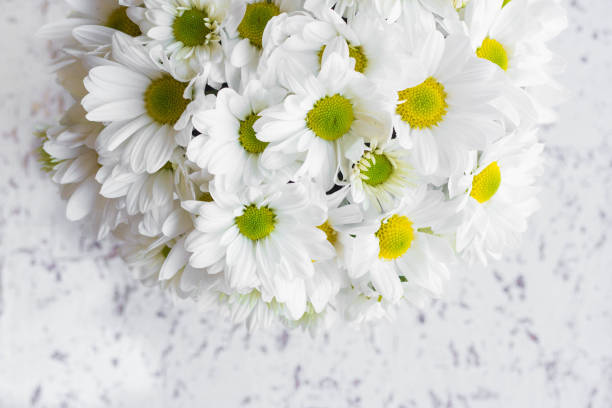 istock Macro of Beautiful Daisy Flowers Bouquet 867175780
