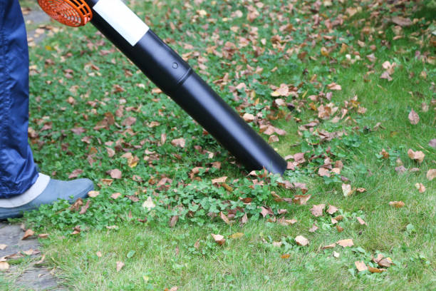 harvesting of leaves with a suction shredder