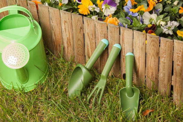 istock gardening tools on the grass in the garden 867179944