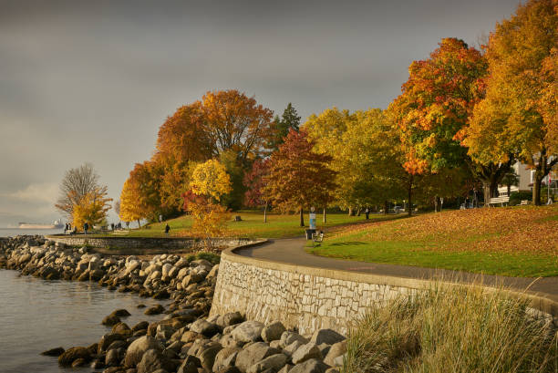 Autumn leaves line the Stanley Park seawall in Vancouver’s West End, Vancouver, Canada.
