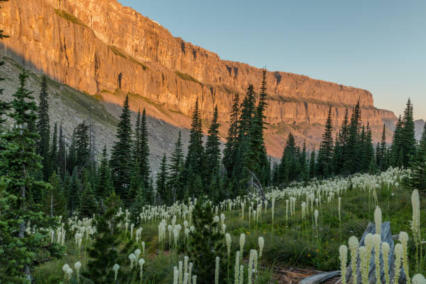 Sunrise on the Chinese Wall