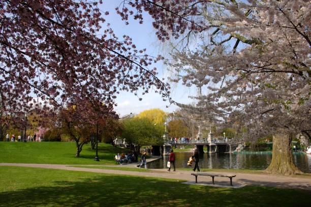 istock Boston Common and Public Garden, USA 867195752