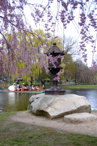 istock Boston Common and Public Garden, USA 867195758