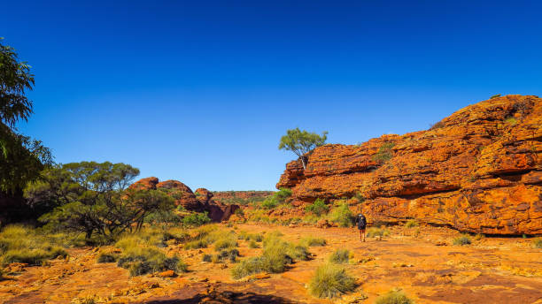 istock Exploring Kings Canyon in Australia 867196094