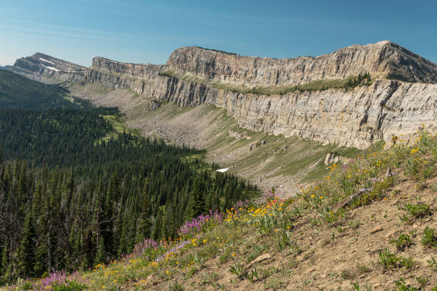 the chinese wall from larch hil pass - chinese wall imagens e fotografias de stock