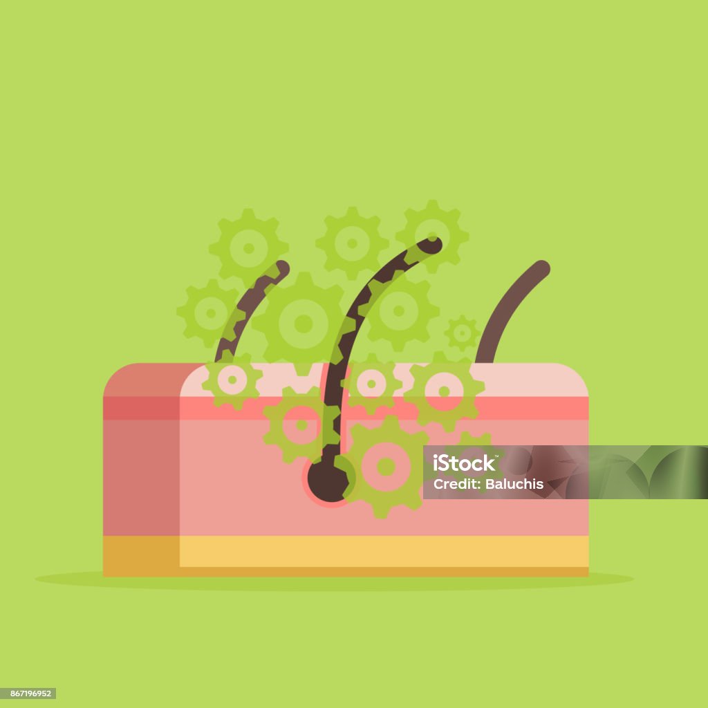 Skin Vector Image Skin Vector Illustration Stock Illustration - Download Image Now ...