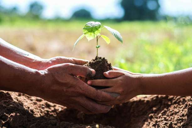 istock father and children help plant trees to help reduce global warming. 867207230