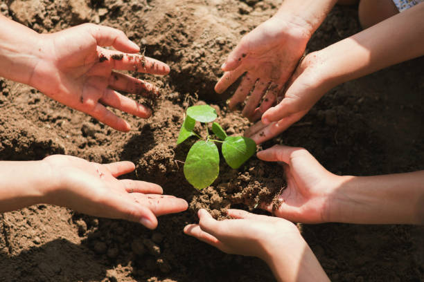 istock people hand group help plant trees to help reduce global warming 867207286