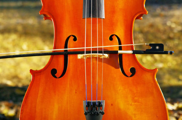 istock Cello outdoors in the park in fall autumn day with colourful leaves 867213362