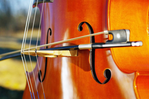 istock Cello outdoors in the park in fall autumn day with colourful leaves 867216084