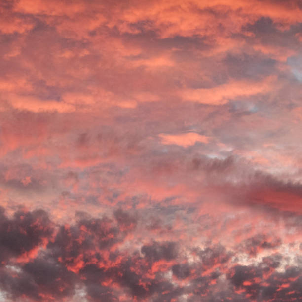 istock Mottled pink and purple sky at sunset 867222946