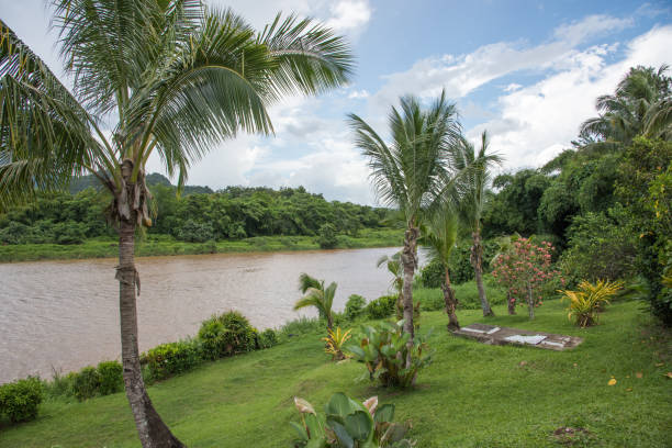 istock Navua River and Tropical Plants 867228304