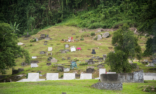 Hillside cemetery with old gravestones and lush greenery in Suva, Fiji