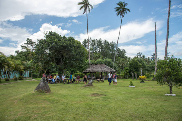 Bench Relaxation: Fiji Travel Suva, Viti Levu, Fiji-November 28,2016: Tourists relaxing in grass area with thatched roof shelter, palm trees and lush foliage in tropical Suva, Fiji suva photos stock pictures, royalty-free photos & images