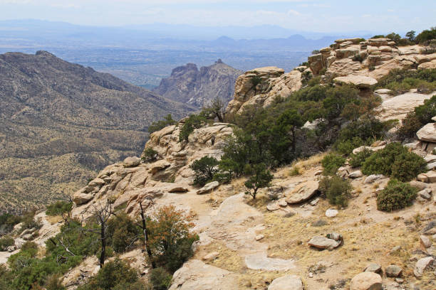 istock View Towards Tucson from Windy Point Vista 867232302