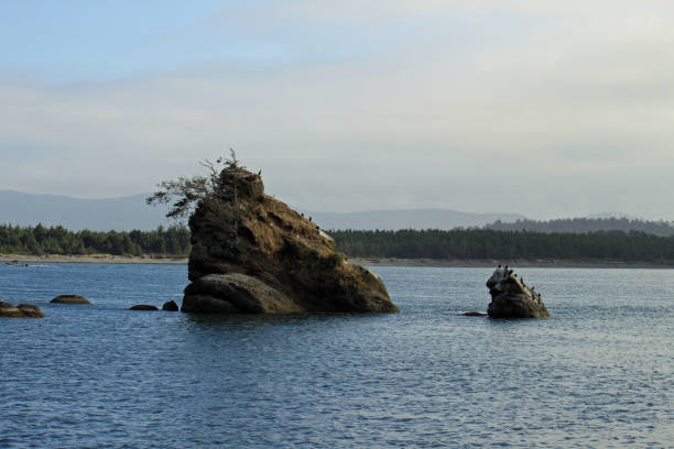 istock Two rocks on the Oregon coast with birds resting 867235010