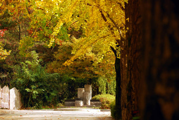 istock Beautiful Autumn Garden 867235356