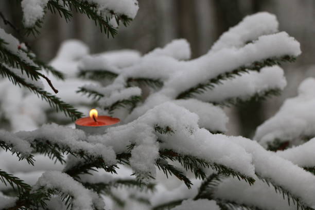 istock Christmas tree in the forest covered with snow with burning candles on the branches 867244984