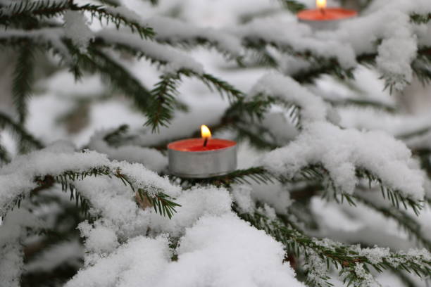 istock Christmas tree in the forest covered with snow with burning candles on the branches 867244992
