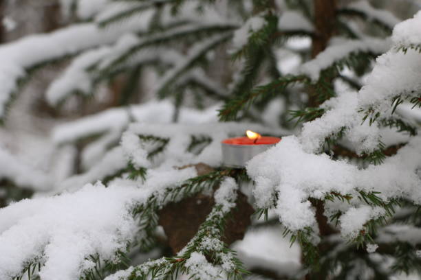istock Christmas tree in the forest covered with snow with burning candles on the branches 867245026