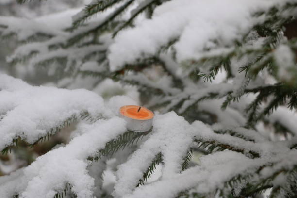 istock Christmas tree in the forest covered with snow with burning candles on the branches 867245036