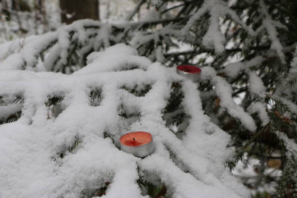 istock Christmas tree in the forest covered with snow with burning candles on the branches 867245052