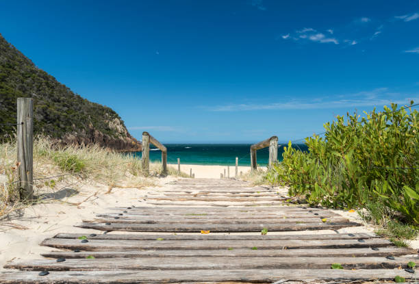 istock Way to the Paradise 867247722
