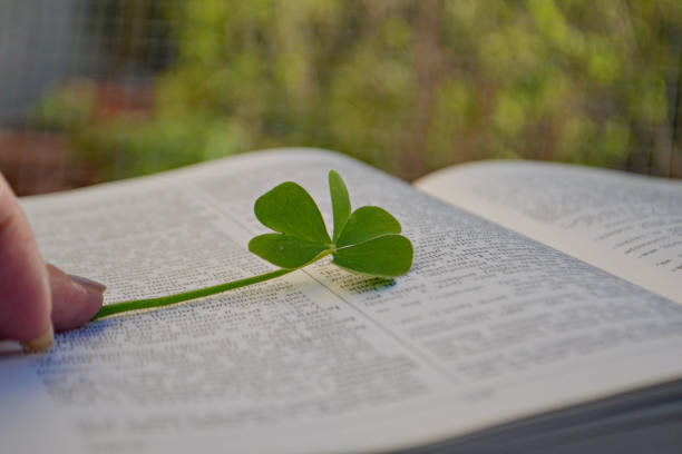 istock Green lucky clover leaf between open pages in the book 867249000