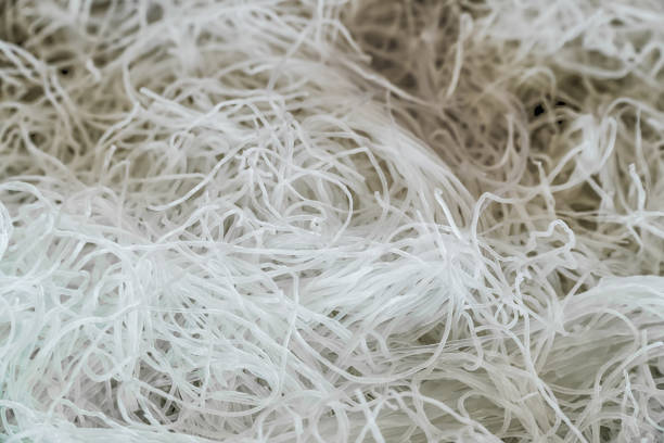 Roll white rice noodle, Asian Meal