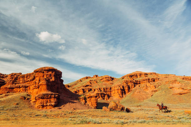 istock The cowboy traviling in nature 867259896