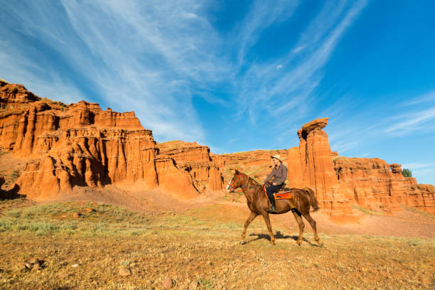 istock The cowboy traviling in nature 867260096