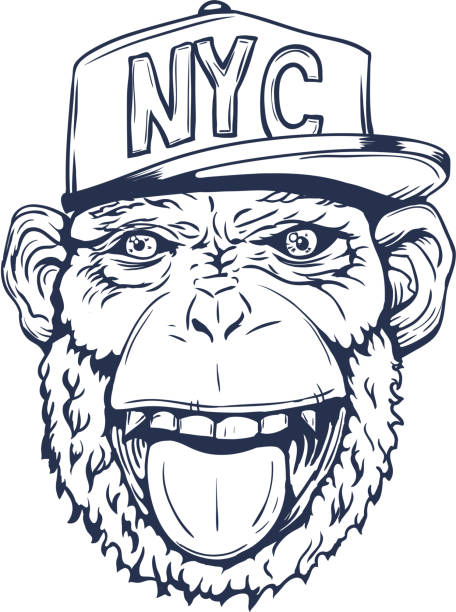 t-셔츠에 그려진 웃는 원숭이 모자 손. 벡터 - new york stock illustrations