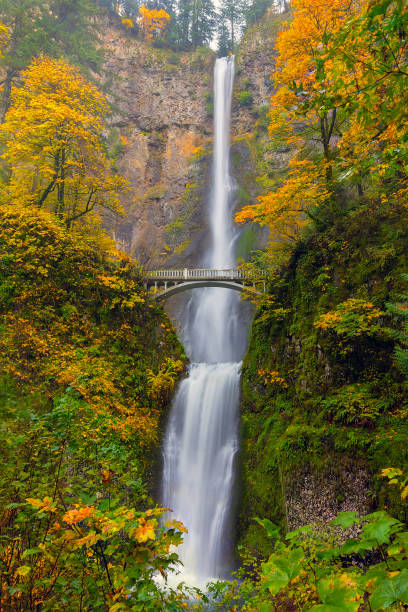 istock Multnomah Falls in Columbia River Gorge Oregon during fall season 867268560