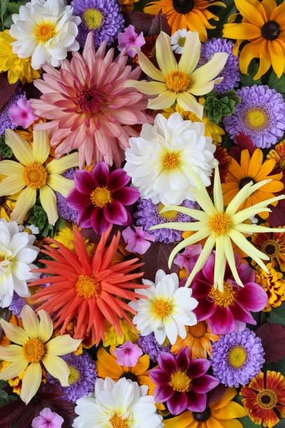 istock Floral background, greeting card. 867269572