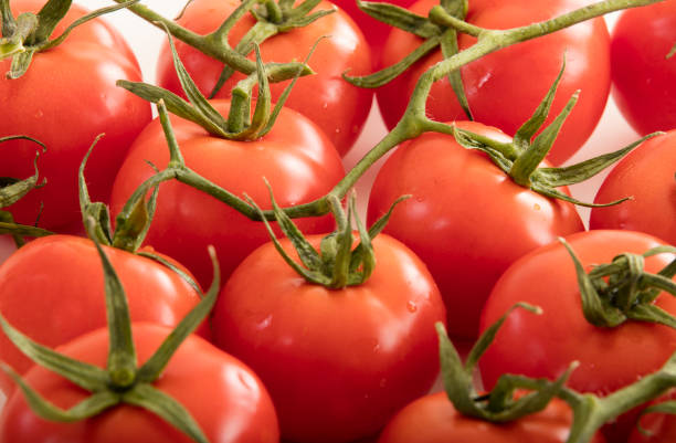 istock photo of very fresh tomatoes presented on white background 867271796