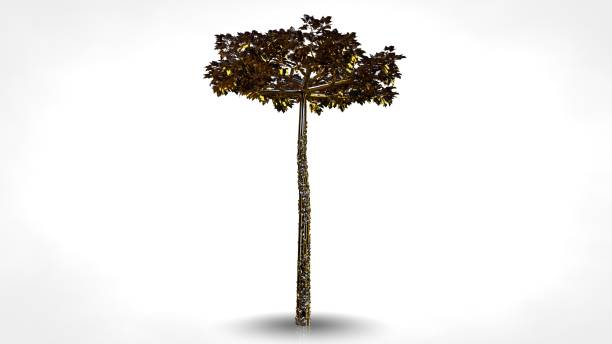 istock 3d rendering of an abstract reflective golden tree on a white background 867272326