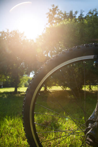 istock mountain bike parts 867273968