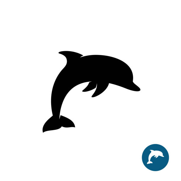 ilustraciones, imágenes clip art, dibujos animados e iconos de stock de símbolo de la simple silueta negra del delfín. símbolo de la libertad del mar. - dolphin animal sea underwater