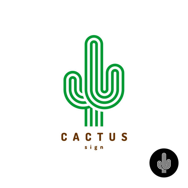 символ кактуса. параллельные округлые линии стиля иллюстрации. - desert cactus mexico arizona stock illustrations