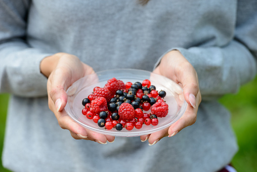 Hands of young beautiful Asian woman holding a plate full of assorted berries freshly picked at Turku Finland