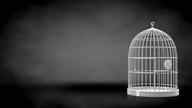 istock 3d rendering of a reflective cage on a dark black background 867294428