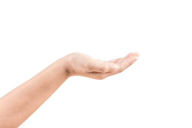 istock Close up Hand and arm  on white  background. 867294768
