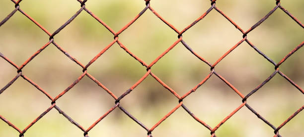 istock Iron fence closeup 867298684