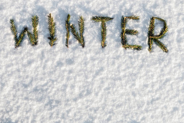 istock word winter is composed of fir branches 867298842