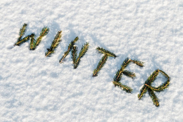 istock word winter is composed of fir branches 867298884